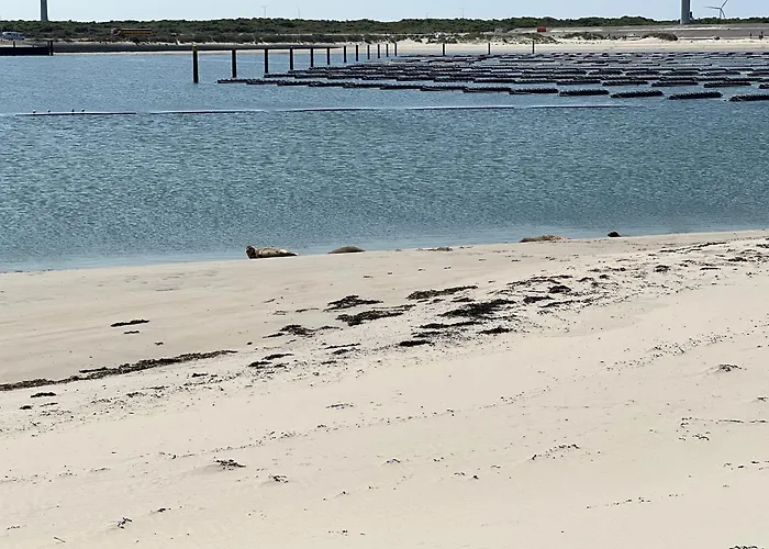 Vakantiehuis Toxopeus