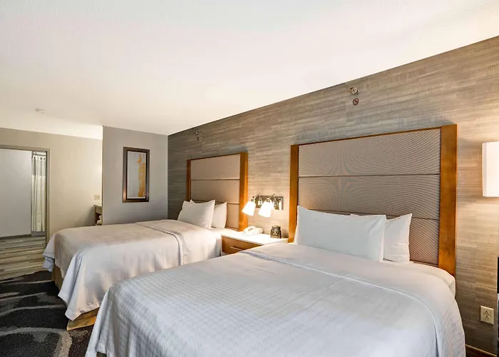 Homewood Suites By Hilton Chicago-Downtown