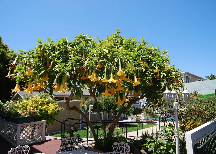Rose Garden Inn