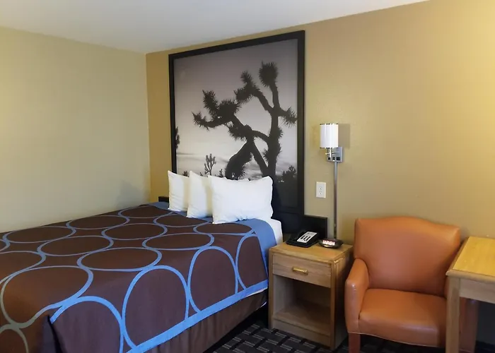 Super 8 By Wyndham Carson City Lake Tahoe