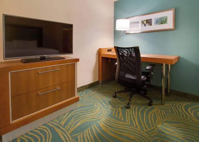 Springhill Suites By Marriott Orlando Lake Buena Vista South