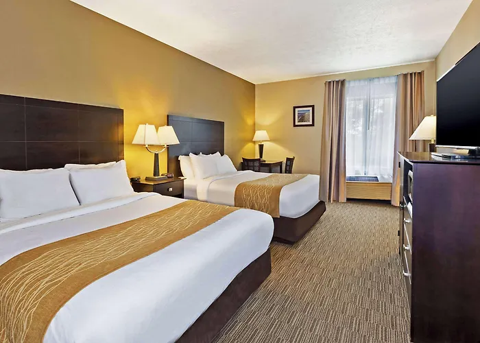 Comfort Inn Whitehall Near Michigan'S Adventure