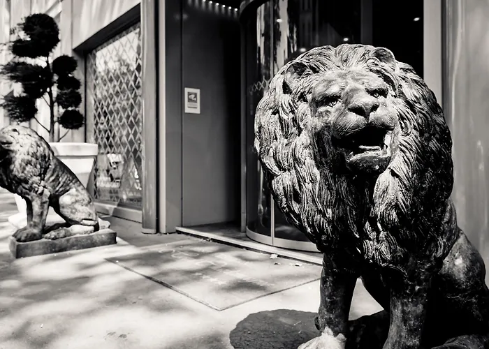 Hôtel Charlemagne by Happyculture