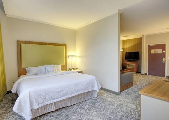Springhill Suites By Marriott Lawrence Downtown