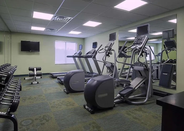 Springhill Suites By Marriott Baton Rouge South