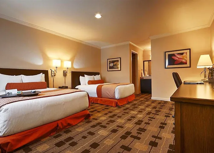 The Zen Hotel Palo Alto