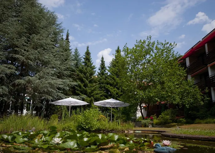 Vitalhotel Ascona