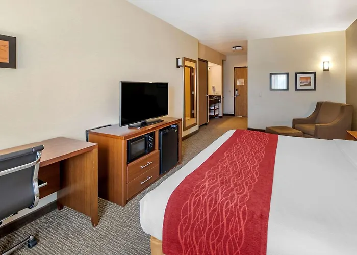 The Atrium Hotel Sfo Airport - Free Shuttle & Breakfast