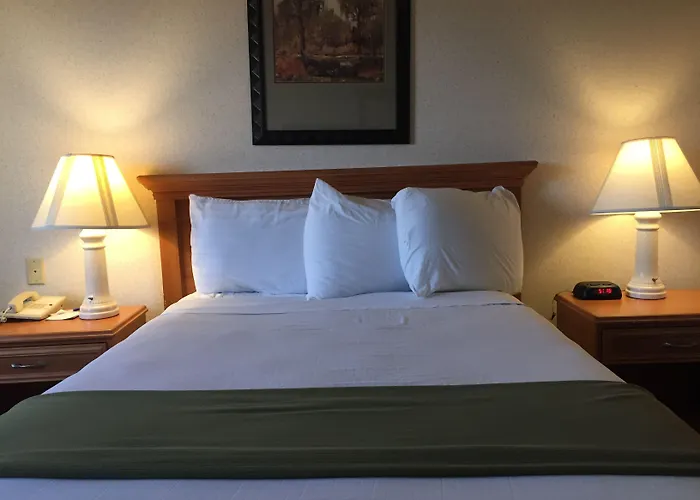 Quality Inn & Suites Willows