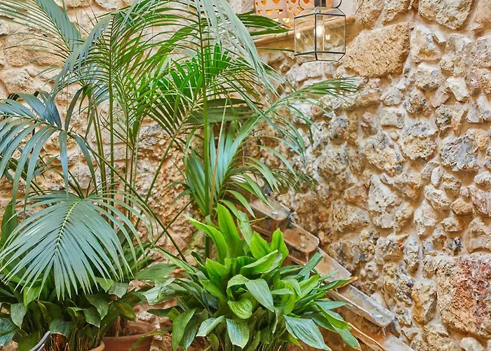 Cas Comte Suites & Spa - Adults Only