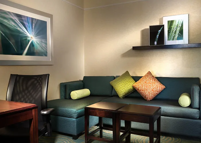 Springhill Suites Dallas Dfw Airport North/Grapevine