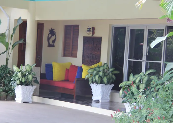 Negril Palms