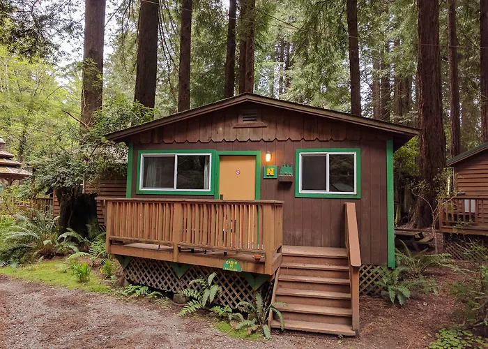 Emerald Forest Cabins