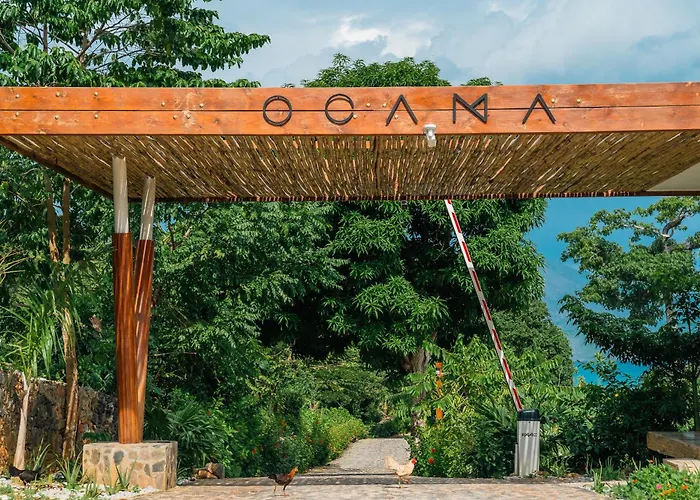 Ocama