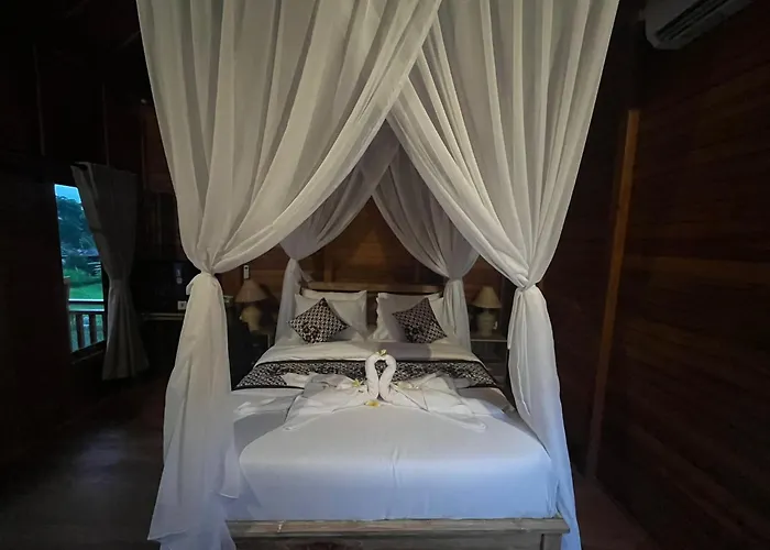 Arta dani villas