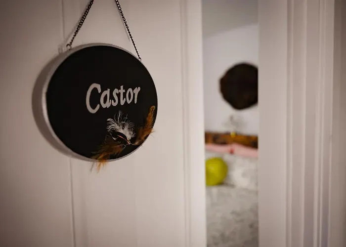Chambre Du Castor-Qapit-Beaver