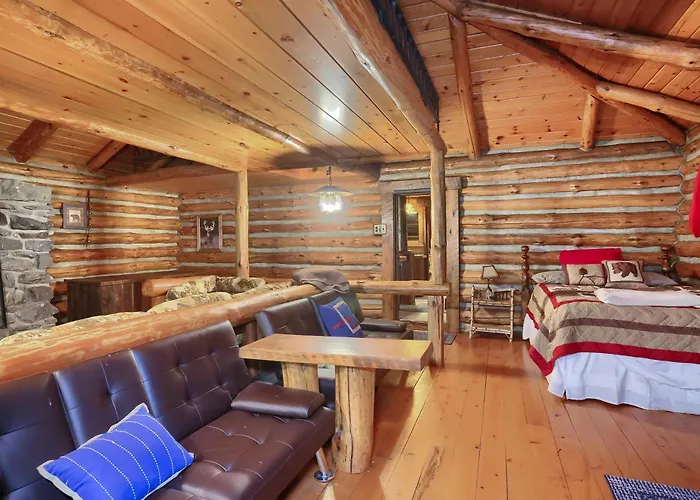 15 Off Summer Speciallog Home Wifi Pavilion