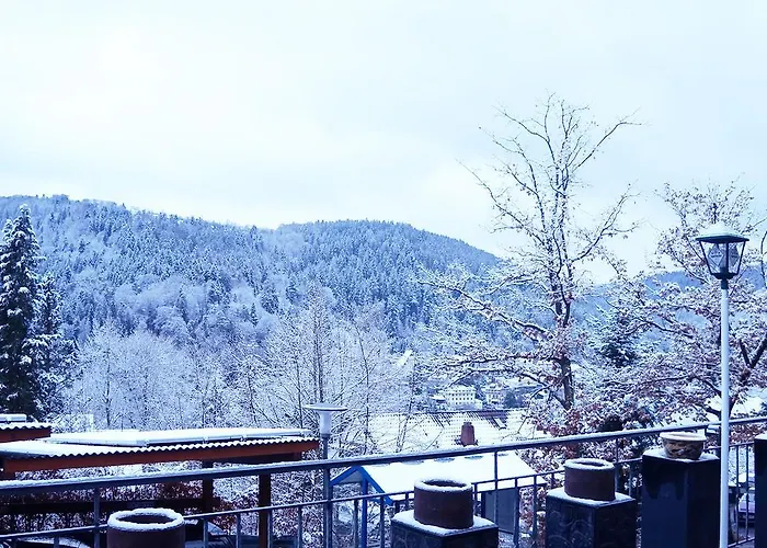 Waldhotel Post