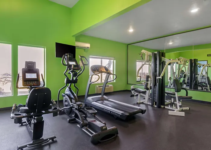 Best Western Plus Grapevine Inn