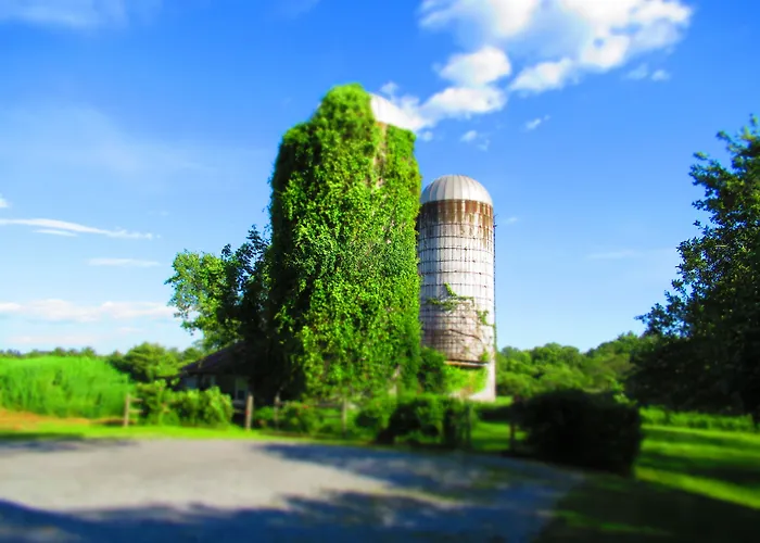 Saratoga Farmstead B&B
