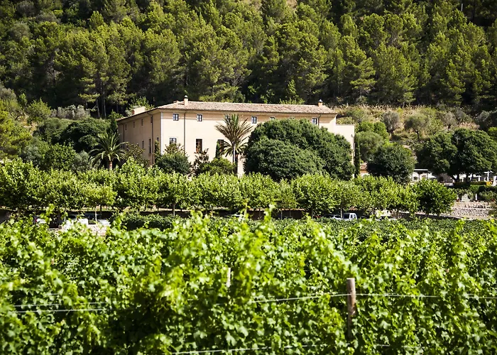 Son Brull Hotel & Spa - Relais & Chateaux