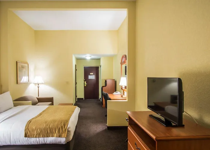 Comfort Inn & Suites Jupiter I-95