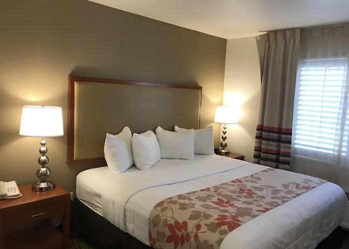 Hawthorn Suites
