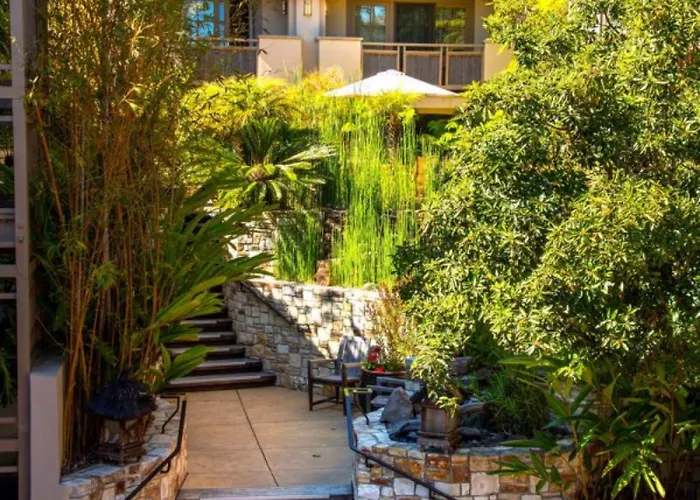 Tradewinds Carmel