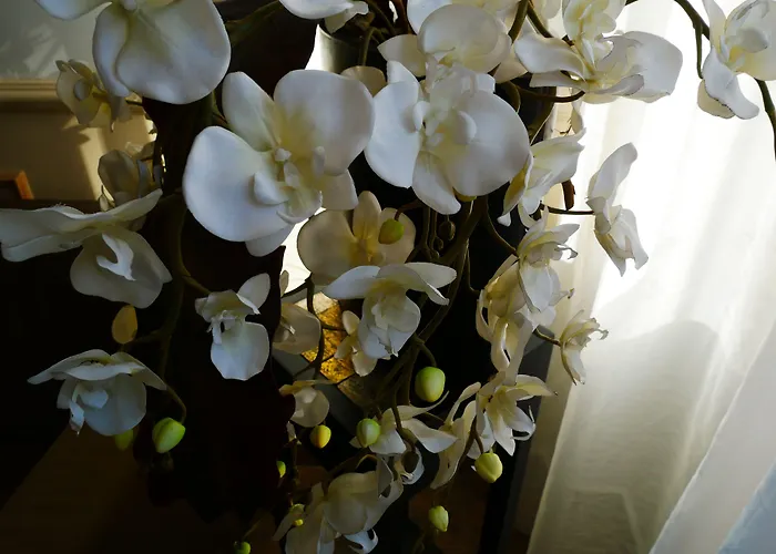 Hotel D'Angleterre, Salon-De-Provence