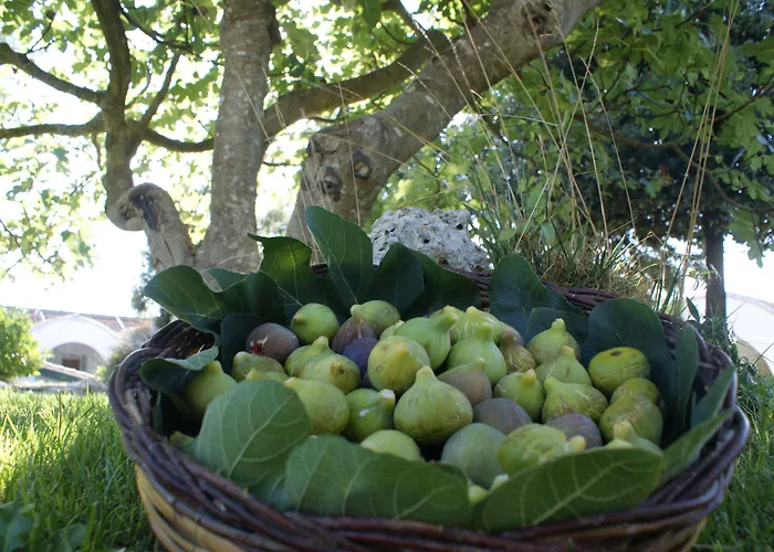 Masseria Chiancone Torricella