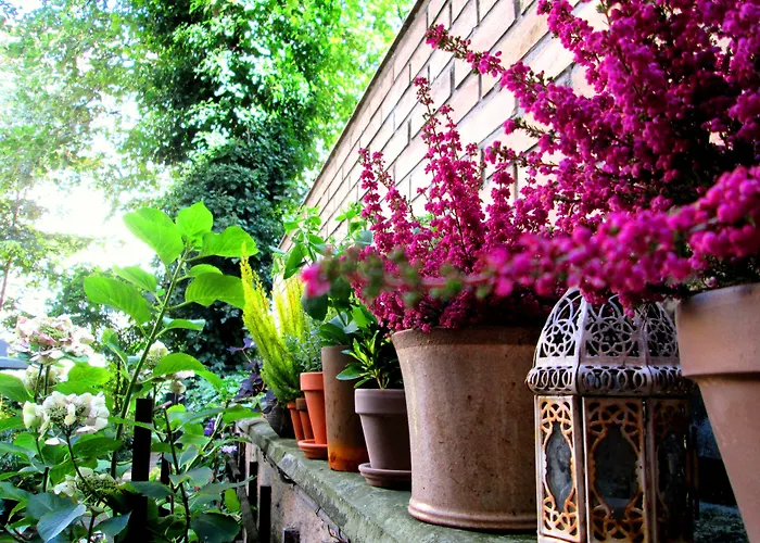 Sofs Boutique Hotel