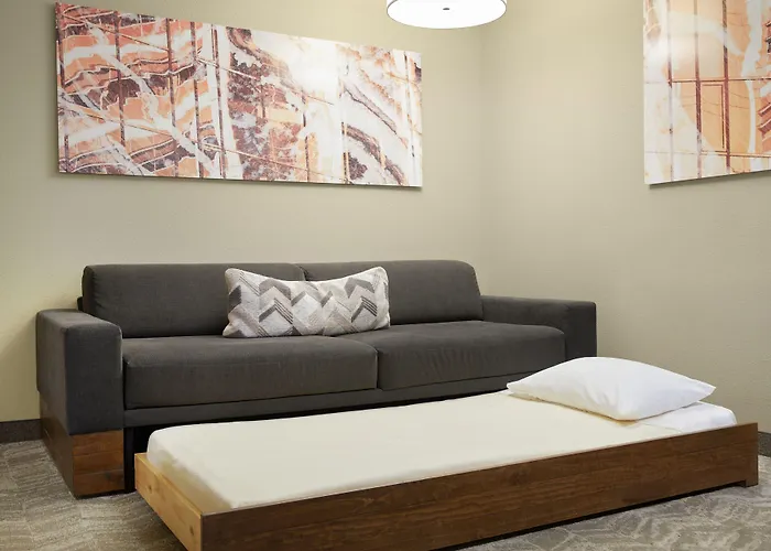 Springhill Suites St. Louis Airport/Earth City