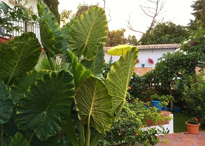 Hotel Carmen Teresa