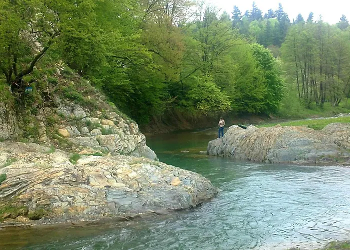 Sadyba Zatyshna