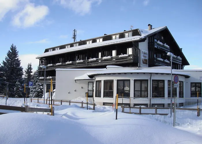 Hotel Dolomiti Chalet