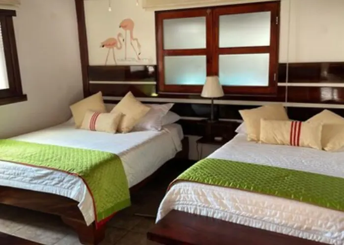 The Wooden House Hotel