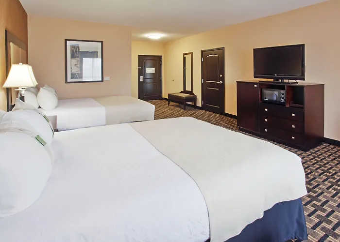 Holiday Inn Arlington Northeast By Ihg