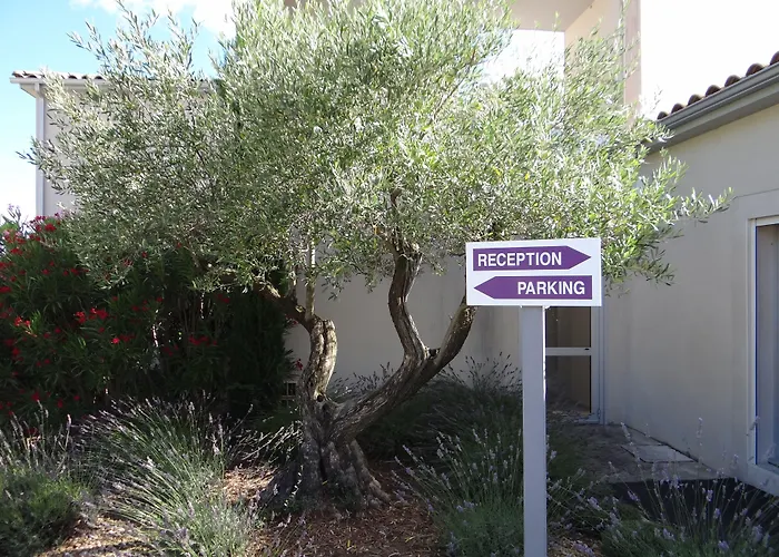 Patio De Violette
