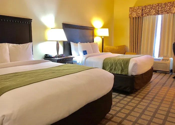 Comfort Inn & Suites Montgomery Eastchase