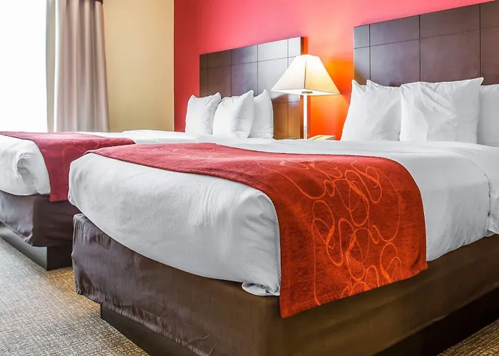 Comfort Suites Rock Hill Manchester Meadows Area