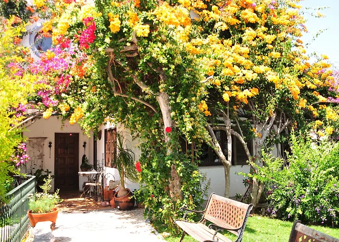 Uma Casa A Beira Sol