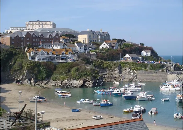 The Harbour