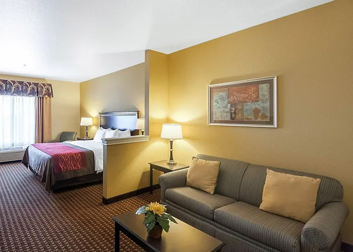 Comfort Inn & Suites Regional Medical Center