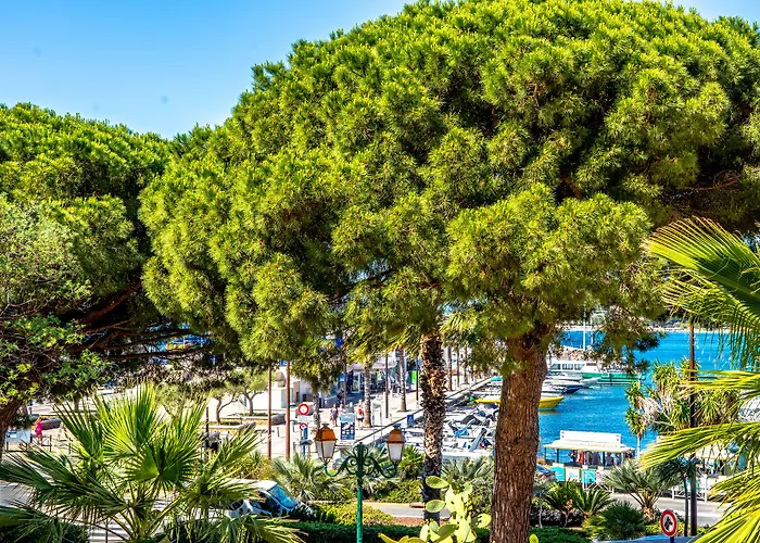 Hotel Les Palmiers