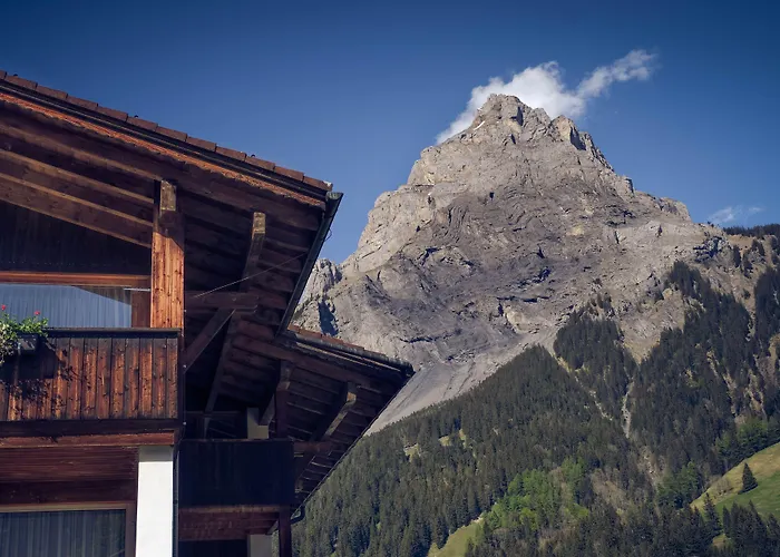 Hotel Alpina