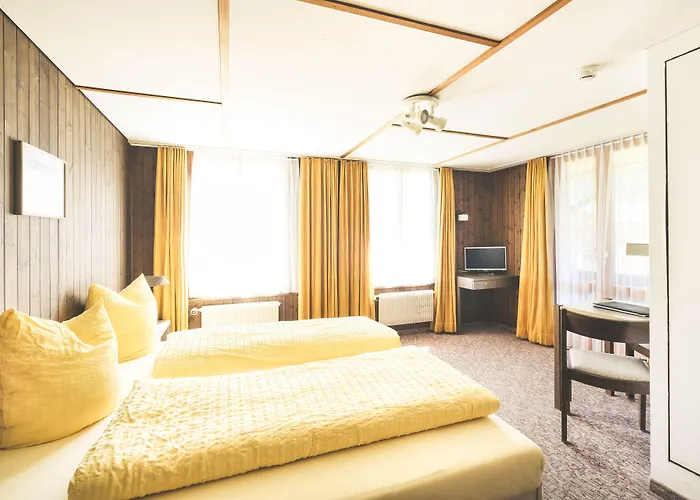 Hotel Alpina