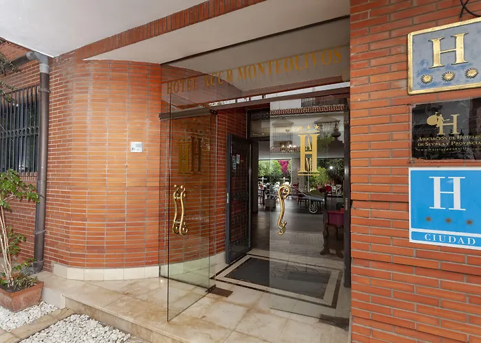 AACR Hotel Monteolivos