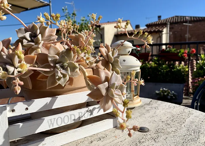 Residence Manassei Prato 