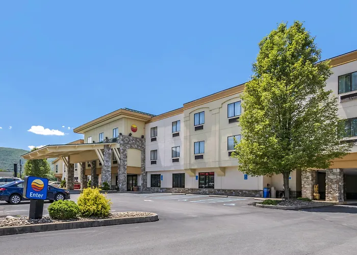 Comfort Inn Williamsport