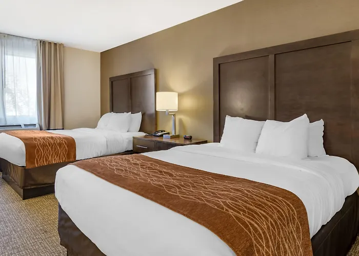 Comfort Inn Williamsport